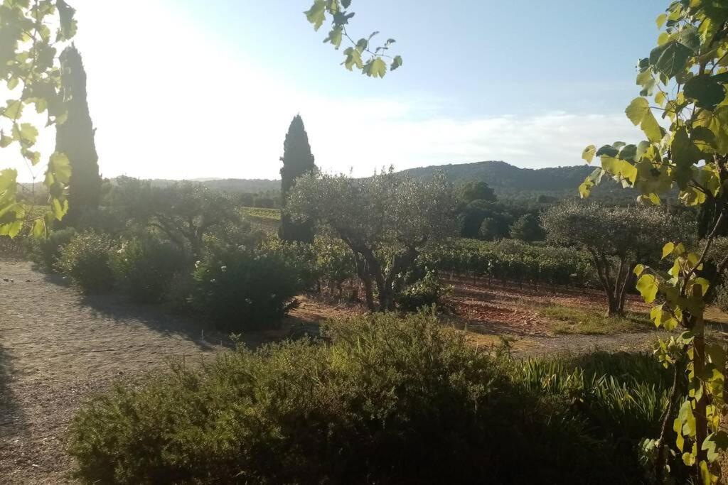 Charmant Appartement T2 Au Coeur Des Vignes 코골렝 외부 사진
